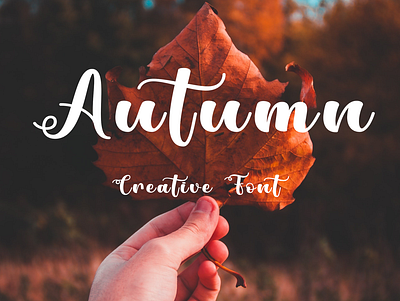 Autumn Font - Creative Font 3d branding craft font design illustration fontquoties graphic design quote