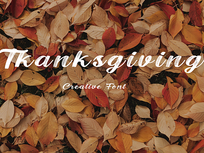 Thanksgiving Font - Creative Font 3d branding craft design font font design font design illustration font quote fontquoties graphic design illustration logo motion graphics quote ui