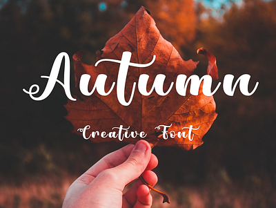 Autumn - Creative Font app branding design font font design font quote graphic design illustration logo ui
