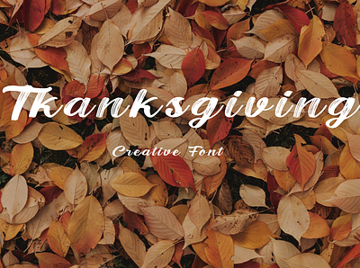 Thanksgiving - Serif Font app branding design font font design font quote graphic design illustration logo serif font ui