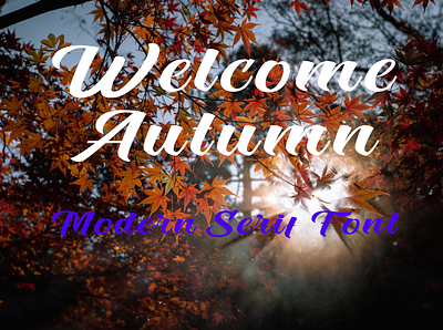 Welcome Autumn - Serif Font app branding design font font design font quote graphic design illustration logo ui
