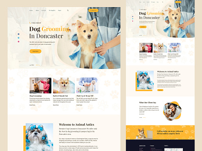 Dog Grooming 3d animation branding design dog grooming graphic design illustration landing page logo typography ui uiux uiux design user interface ux design uxdesign vector web web template website