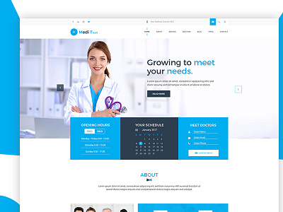 Meditrust - landing page design