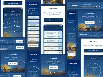 ClearScore Acquisition Banner Adverts design ui