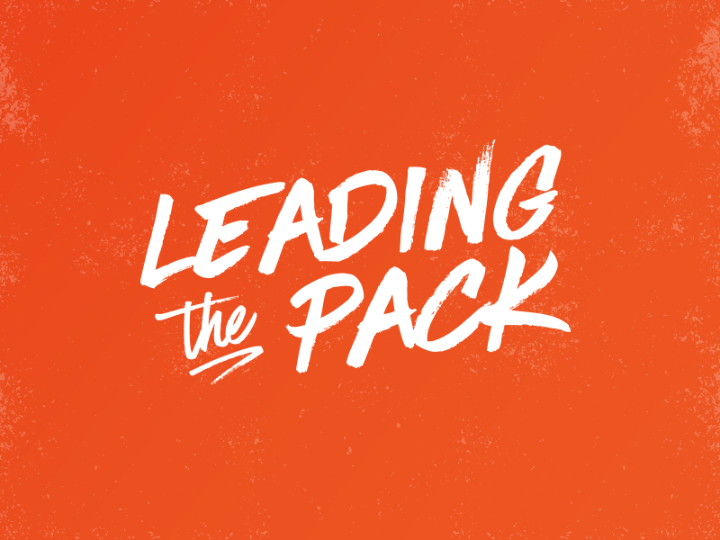 Leading The Pack by Maria Lumbi for chewy on Dribbble