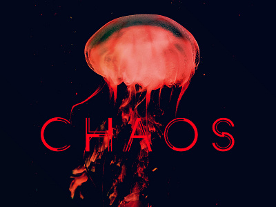 Chaos