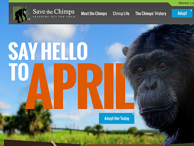 Save the Chimps Website ui web design