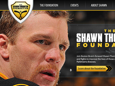 The Shawn Thornton Foundation Website branding ui web design