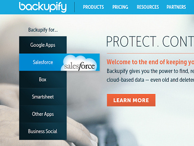 Backupify Website ui web design