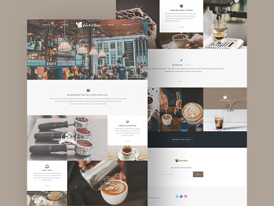 The Roasted Bean branding concept design graphic landing page mockup ui web webdesign website