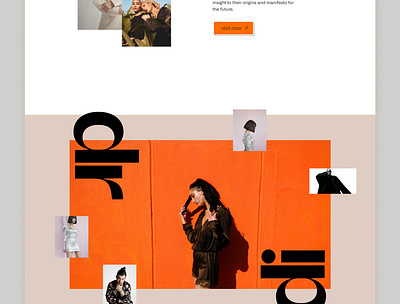 Fashion Website UI ui
