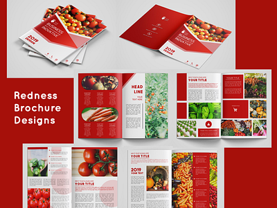 Redness Brochure Designs brochure design powerpoint template