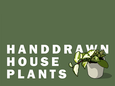 Handdrawn House Plants Illustrations