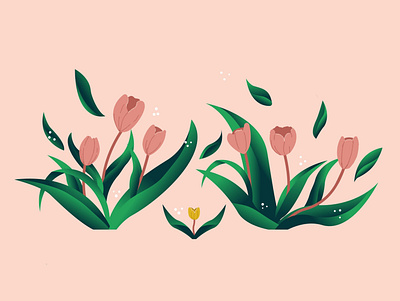 01. Tulip colorful floral illustration illustrator tulip vector