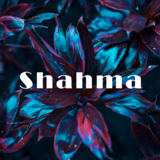 FATHIMATH SHAHMA C