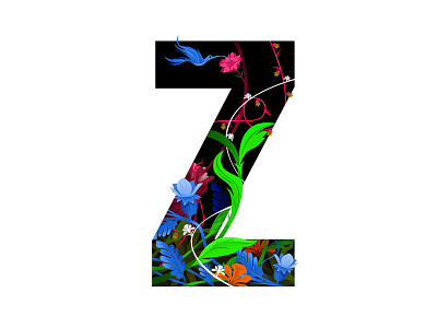 Z illustration letter lettering type