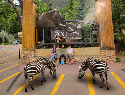Cheyenne Mountain Zoo animals composite elephant photo photo blending photo manipulation photoshop zebra zoo