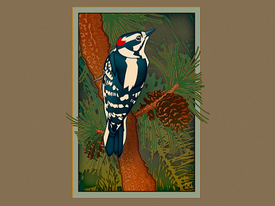 Downey Woodpecker illustration illustrator vector