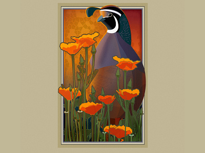 California Quail with Poppies illustration illustrator vector