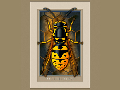 Yellowjacket illustration illustrator vector