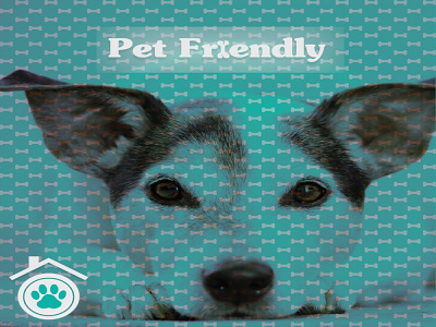Pet Friendly bone branding color design dog friendly green logo pet typography vector
