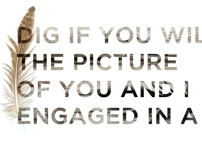 Dig if you will the picture. Of you and I engaged in a kiss. typography