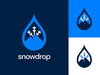 Daily Logo Challenge | Day 008 (Ski Mountain) branding concept dailylogochallenge design design challenge drop identity logo logo challenge logo concept mountain ski mountain snowdrop snowflake vector