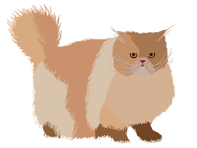 Fuzzy Cat 2d adobe illustrator flat illustration
