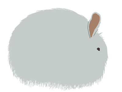 Fuzzy Buns 2d adobe illustrator illustration