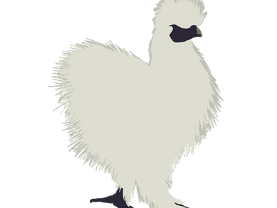 Fuzzy Feathers 2d adobe illustrator illustration