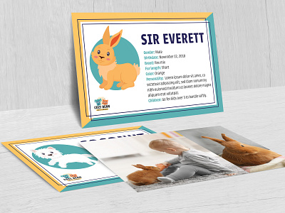 Pet Info Card & Illustration branding character design design graphic design illustration logo logo design marketing mascot design postcard design promotional material