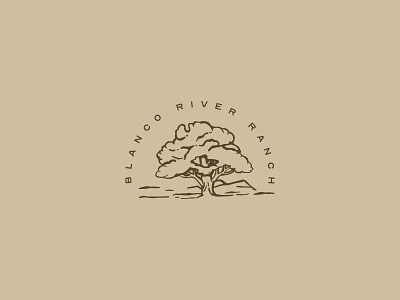 blanco river ranch 3 austin branding illustration south texas texas tree western