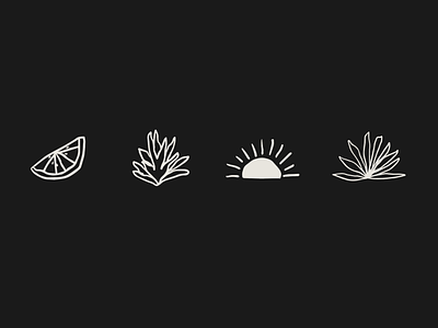 more icon babies agave drawing icon illustration lime procreate southwest sun