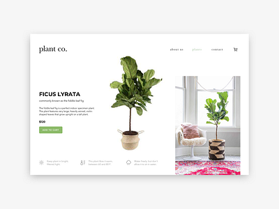 Plant co. branding design minimal ui ux web website