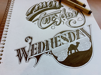 Days of the week. hump day illustration lettering pen sketch typography warm up
