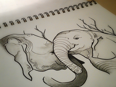 Elephants drawings sketch
