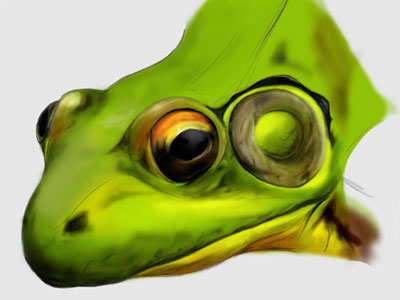 Frog digital painting digital paining drawing painting