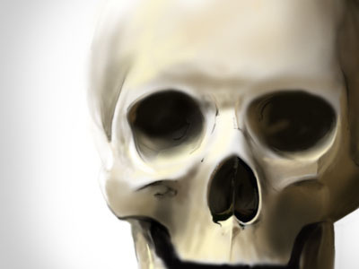 Skull, WIP digital illustration digital painting halloween illustration poster wallpaper wip