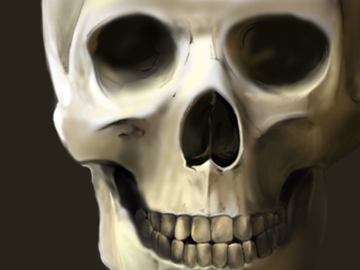 Skull progress digital painting halloween illustration wacom