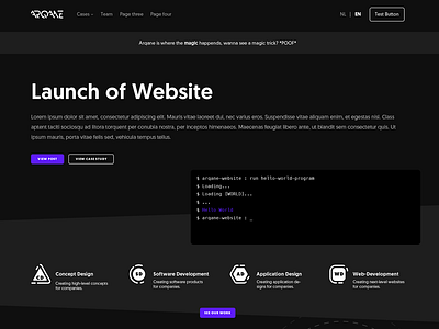 Arqane Website 'Draft 1' black design logo ui webdesign website white