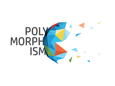 polymorphism 1 3d exploration logo