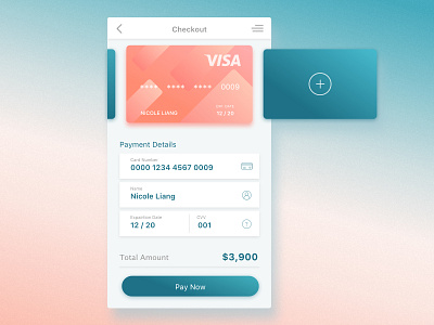 Daily Ui #1 - Credit Card Checkout app checkout credit card dailyui design payment ui visa