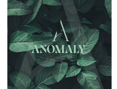 Anomaly branding design graphic design illustration logo typography ui vector