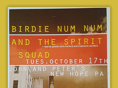 From the archives: Birdie Num Num and the Spirit Squad brooklyn color design music photography poster poster art type