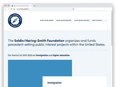 Seldin / Haring-Smith Foundation Home Page branding color design social type website design