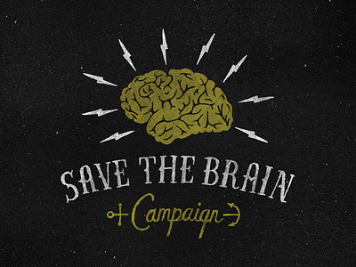 Save The Brain Campaign anchor bolts brain campaign hand lettering handcrafted lightening typography