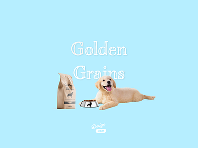 Golden Grains Ad ad ad design branding design dog food dogs golden retriever graphic design illustration logo