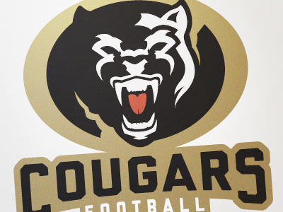 Cougars cougars football logo rawr sports branding