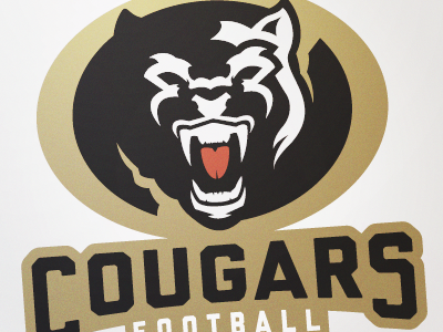 Cougars