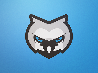 Snow Owl blue logo owl snow sports white